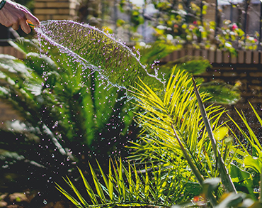 Cómo crear un jardín acogedor